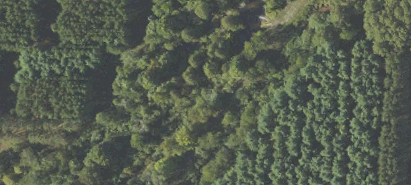 Trailside Residential Community Lots
