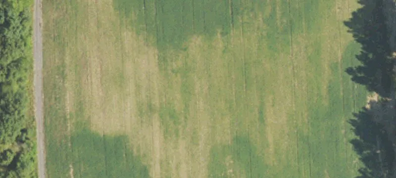 Linden Land with Barn and Pond