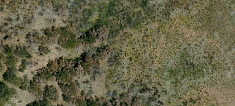 Land with Canyon Views