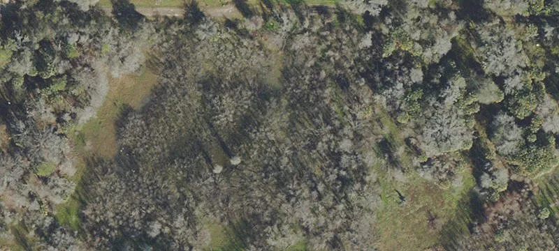 Land for Oasis Development