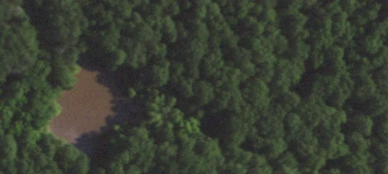 Heavily Wooded Acreage Near Golf