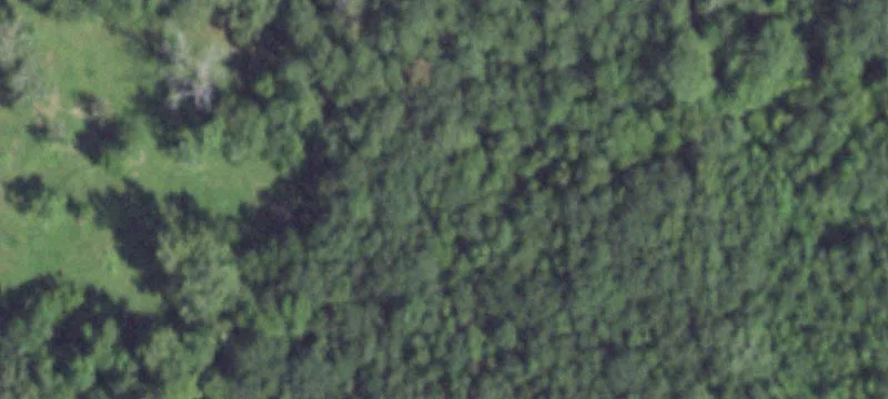 Residential Land Near Liberty, Texas