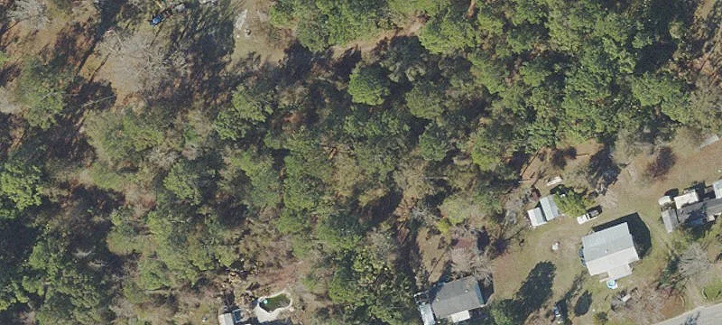 Wooded Lots Near Crescent Lake