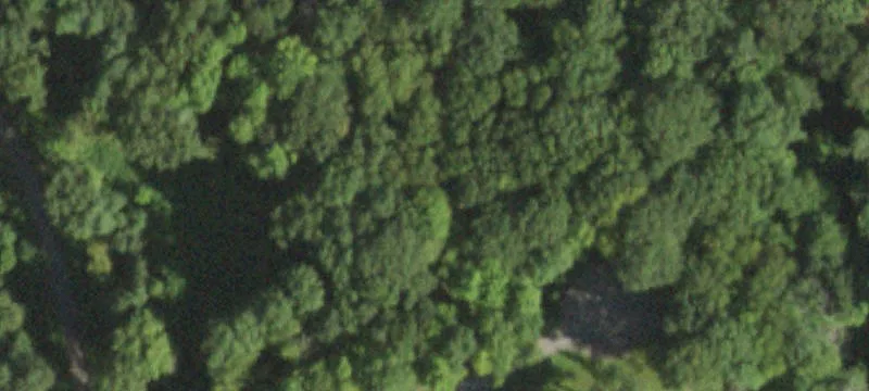 Wooded Lot on Mountain Road