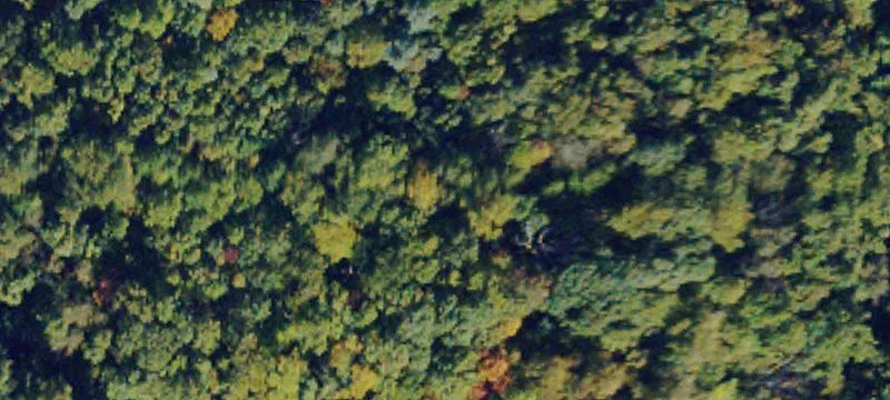 Wintergreen Land for Sale