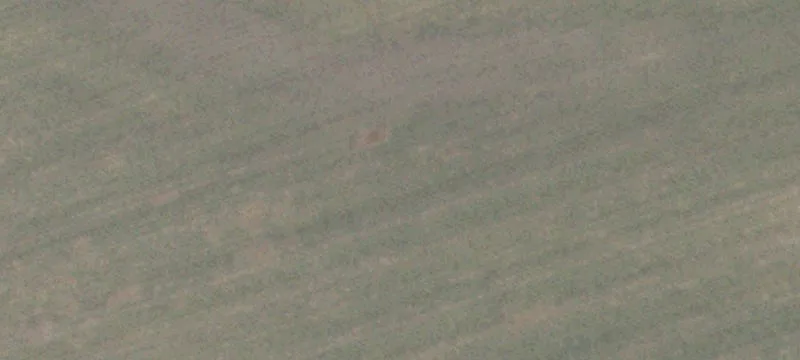 East Bernard Prairie Land