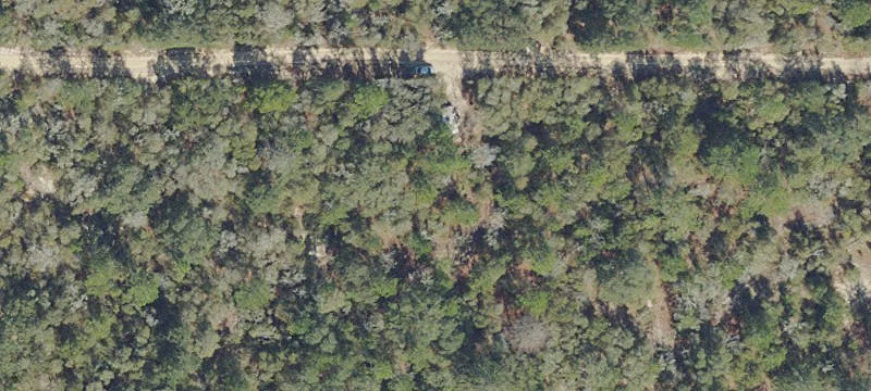 22 Acres of Mature Timber