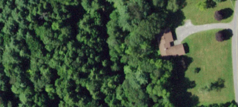 8+ Acres Wooded Building Lot