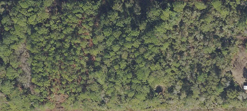 Residential Land Near St. Johns