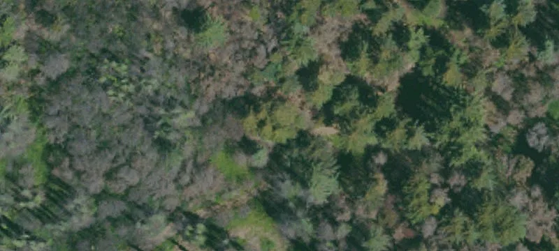Land Available in Boulder Creek