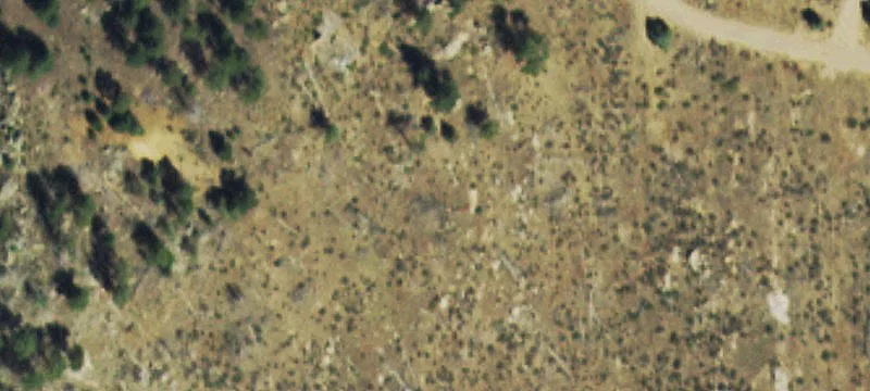 Land For Sale in Pine