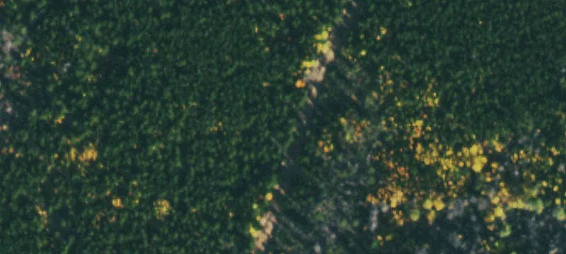 Land Near Roosevelt National Forest