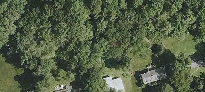 Darien Specialty Property For Sale