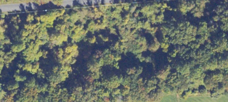 Spacious Corner Lot in Great Falls