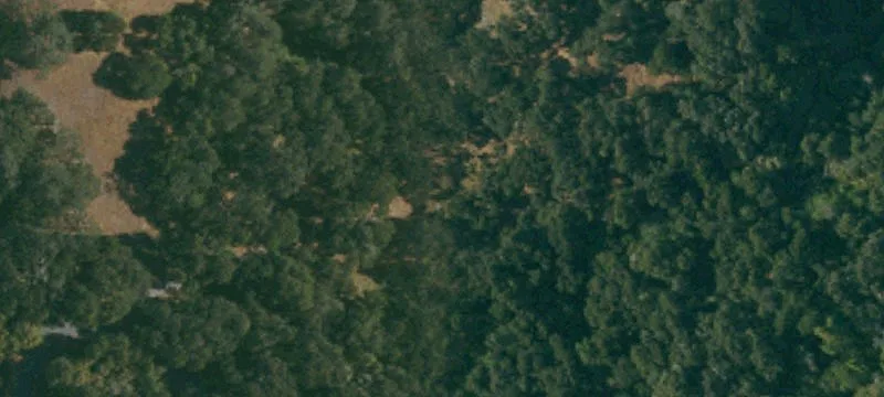 Carmel Valley Land Opportunity