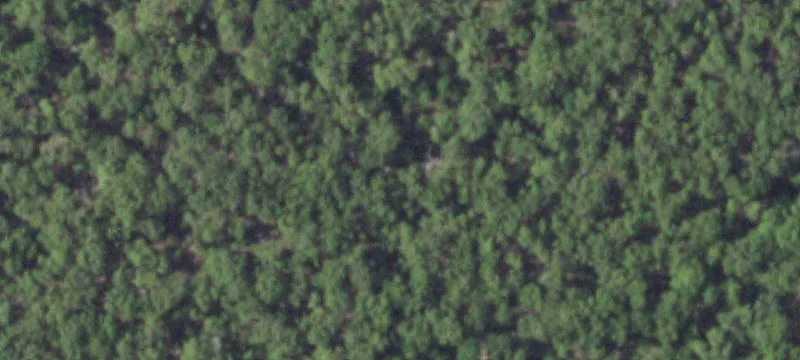 Land Available in Buckholts, TX