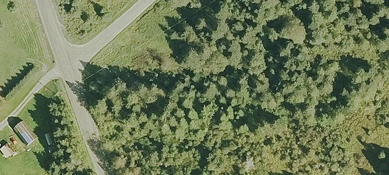 Wooded Lot with Mountain Views
