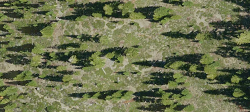 Mount Shasta Specialty Property