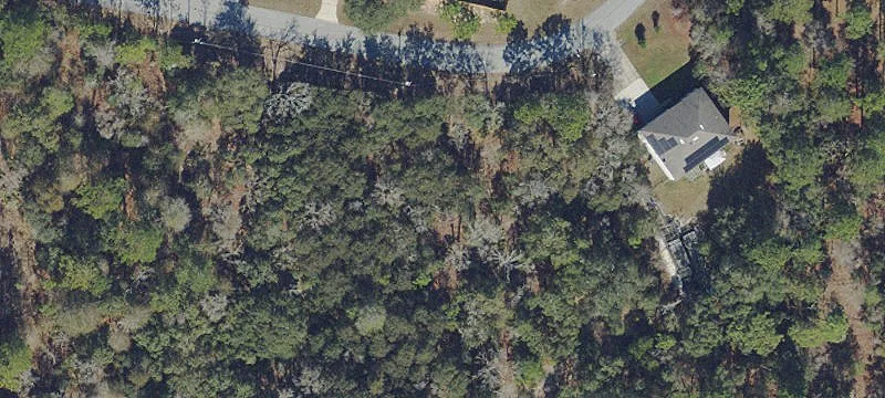 Undeveloped Land in Dunnellon, FL