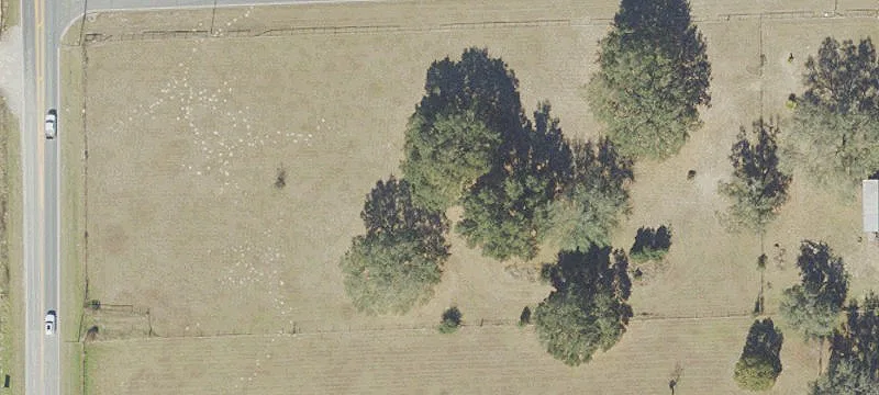 Apopka Land with Development Potential