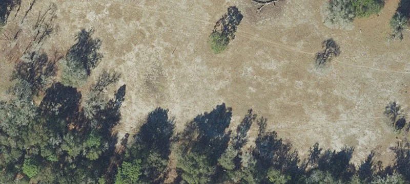 Williston, Florida Land For Sale