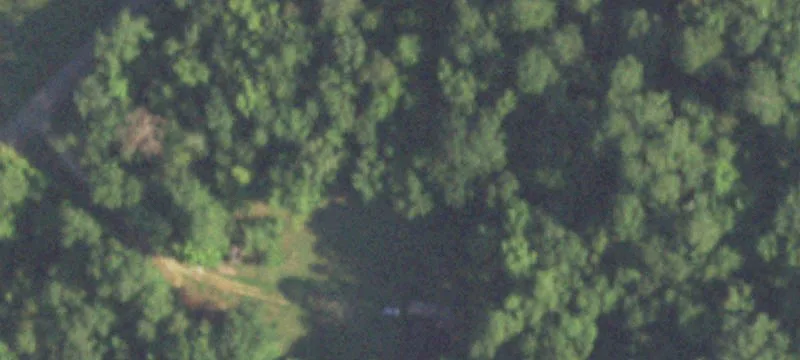 Unrestricted Wooded Land Parcel