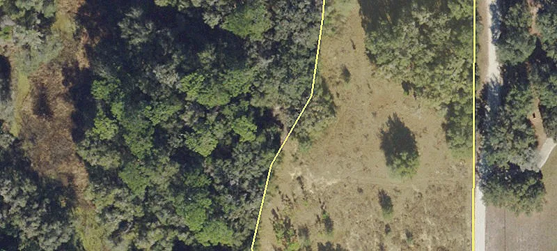 18 Acres of Old Florida