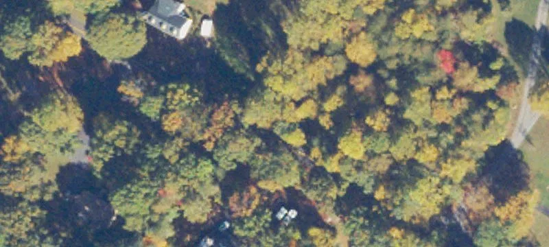 Warrenton Treed Acres For Sale