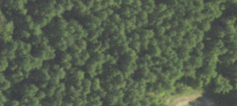24.7 Acres Ready for Development