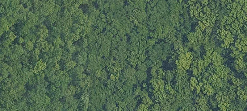 Residential Land in River Bluffs