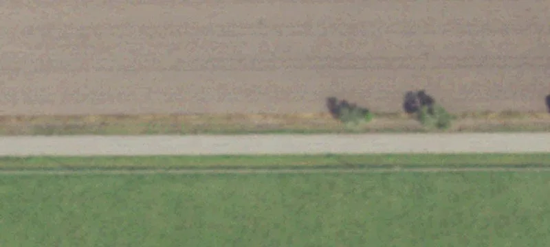 63.2 Acres in Damon, TX