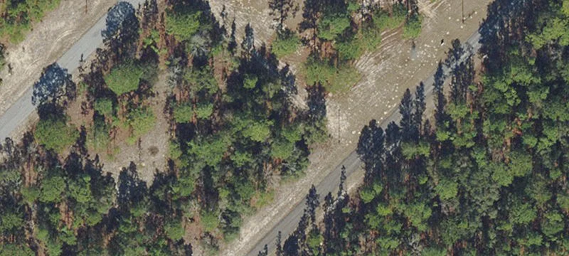 Citrus Springs Residential Land Opportunity