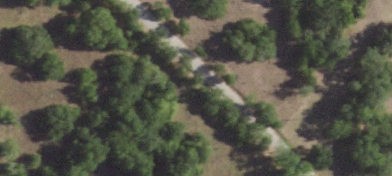 Tree Covered Acreage Near Somerville