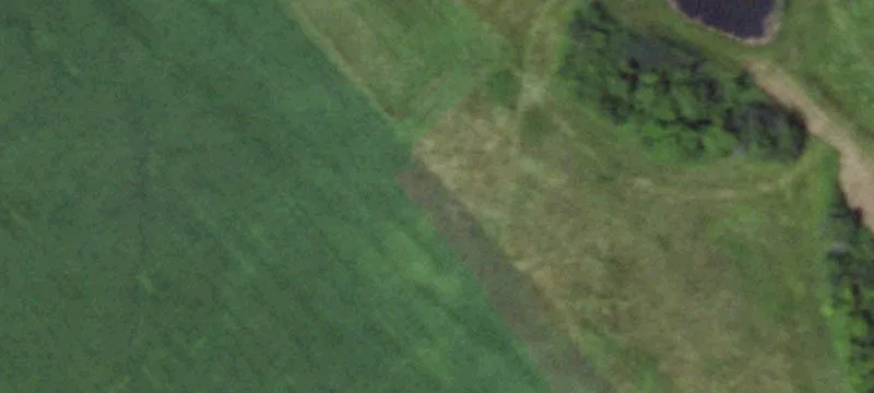 19 Acre Wooded Hunting Land