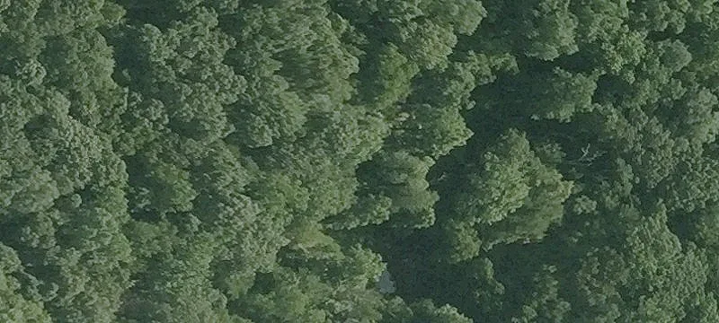 Roxbury Land for Dream Home