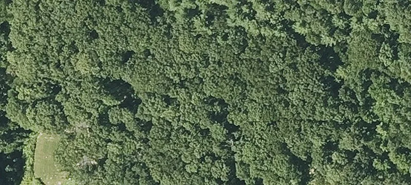 1.85 Acre Wooded Residential Lot