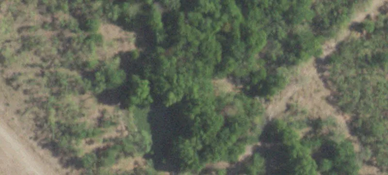 2.5-Acre Homesite in Terrell, Texas