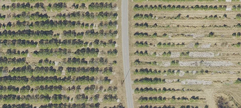 7.3 Acres Near US-27
