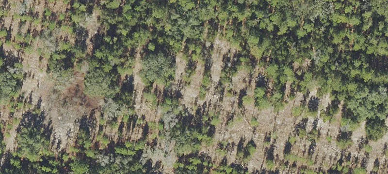 60 Acres in Growing Area