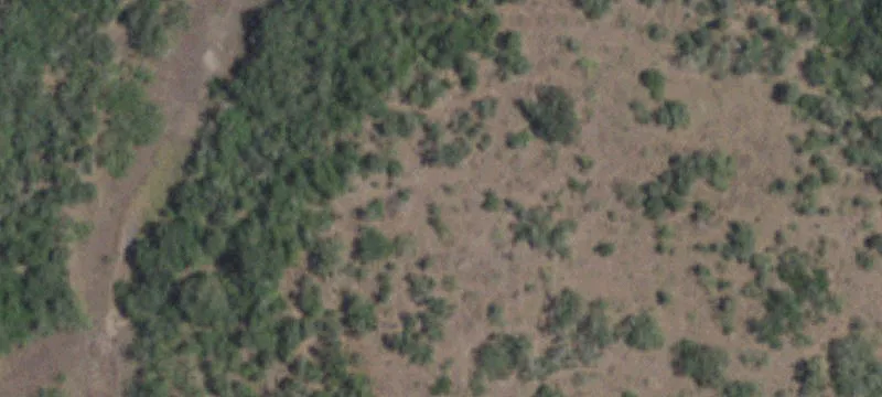 23 Acres in Smiley, Texas