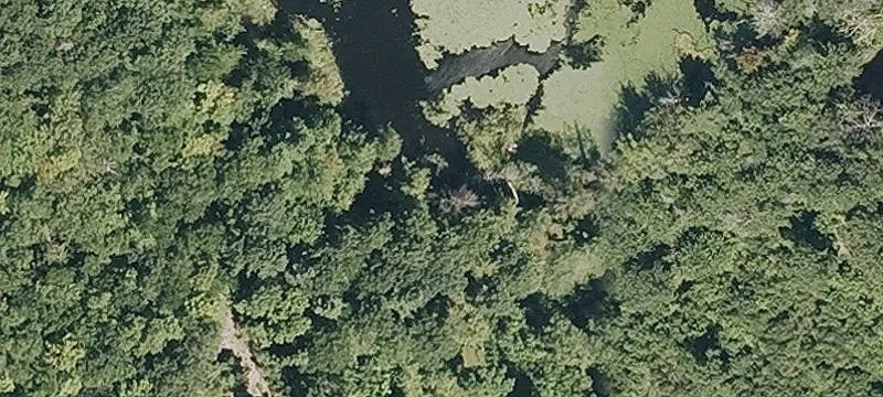 Unrestricted Acre with Forest Land