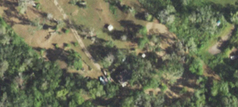Wooded Acres on Quiet Road
