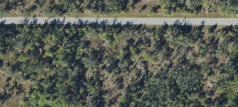 Buildable Lot in Port Charlotte
