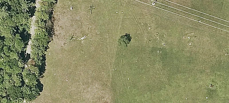 Large Cavendish Land Parcel