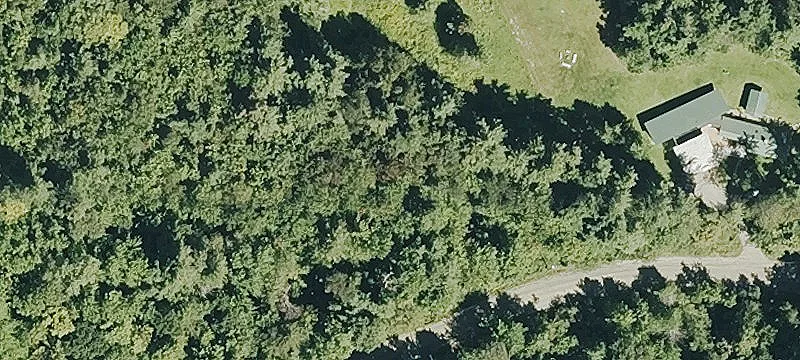 Honeycomb Hill Wooded Parcel