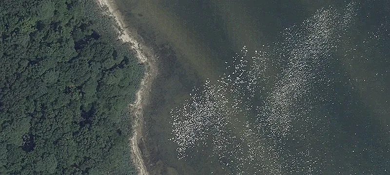 Waterfront Land in Bay Meadows