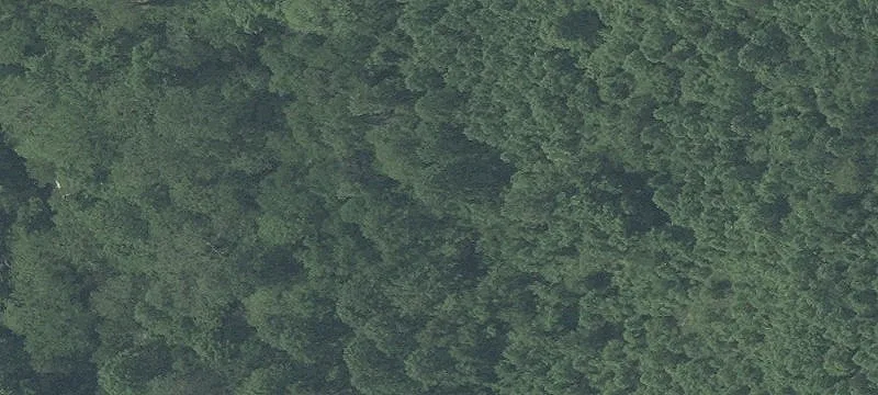 32 Acres Near Sugarloaf Mountain