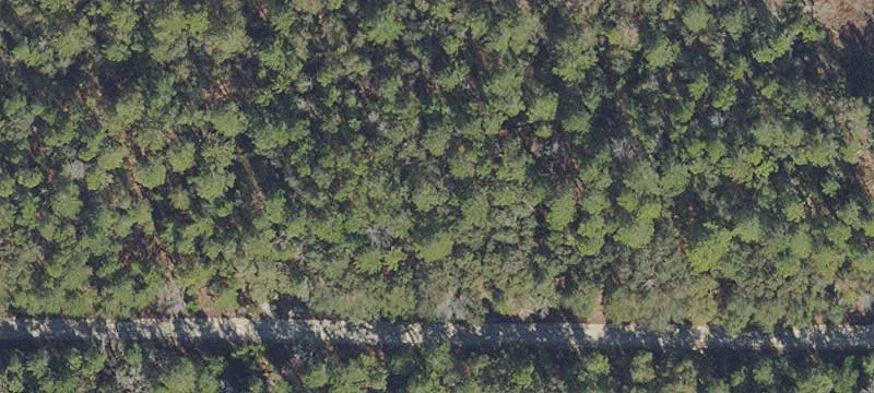 Interlachen Land Parcel For Sale