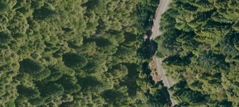 Vacant Lot in Brooktrails