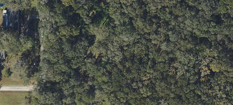 Land For Sale Zephyrhills